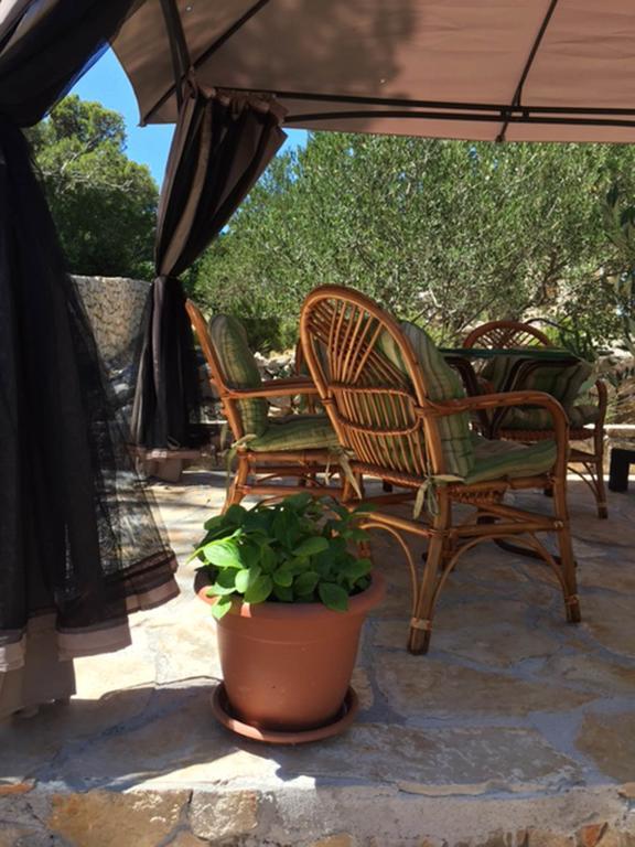 Butterfly Holiday Home Tonkica Бетина Екстериор снимка